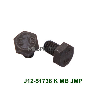 Wheel cylinder bolt set